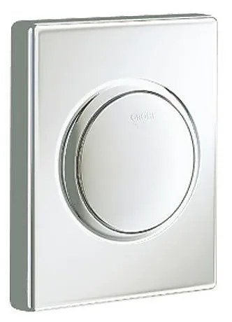 Бутон 38595P00, Skate