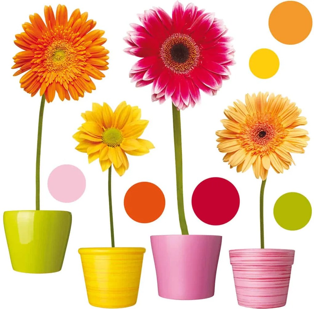 Декоративни стикери за стъкло Gerberas Ango