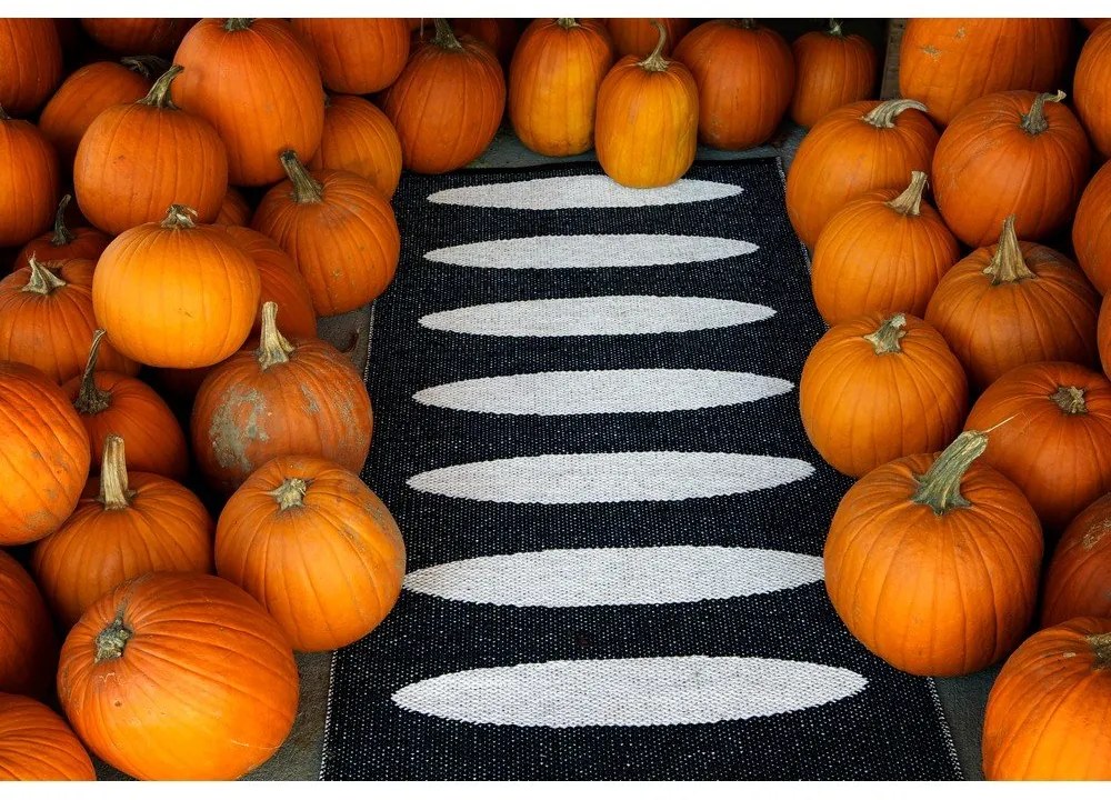 Черна пътека за открито и закрито 70x300 cm Ella Black – Pappelina