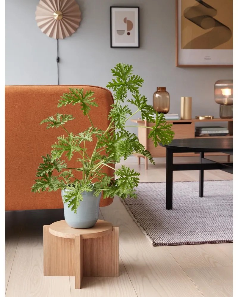 Черна кръгла масичка за кафе ø 80 cm Fjord – Hübsch