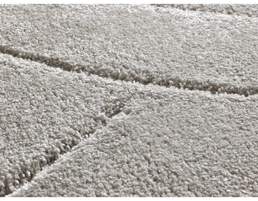 Светлосив килим 160x230 cm Molier – Universal