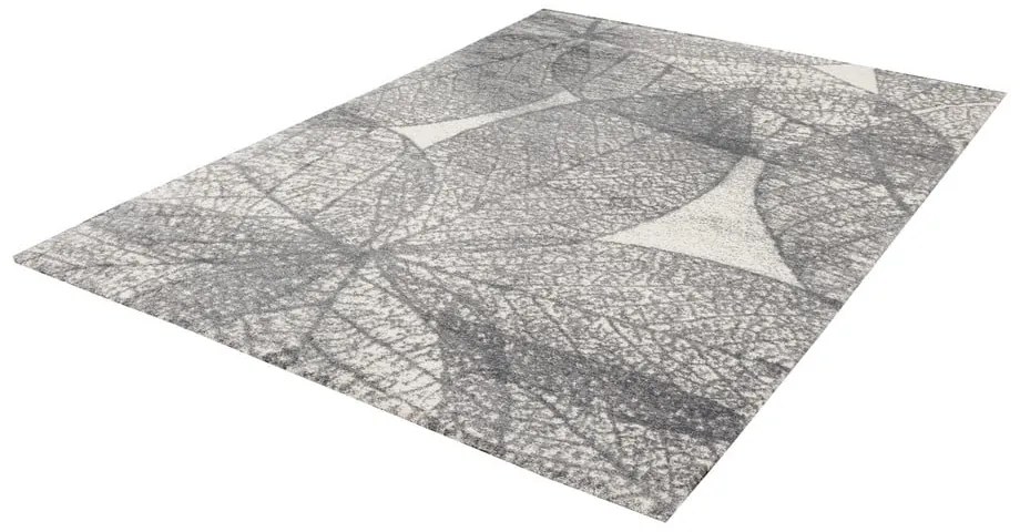 Сив килим 160x230 cm Lush – FD