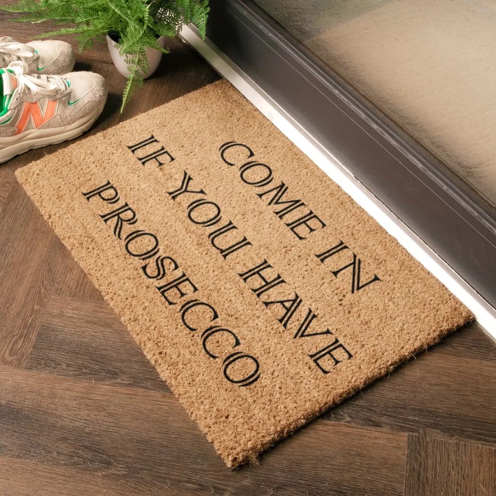 Изтривалка от кокосови влакна 40x60 cm Prosecco – Artsy Doormats