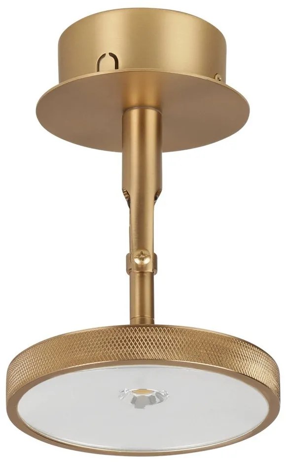 LED прожектор в златист цвят ø 12 cm Asteria Spot – UMAGE