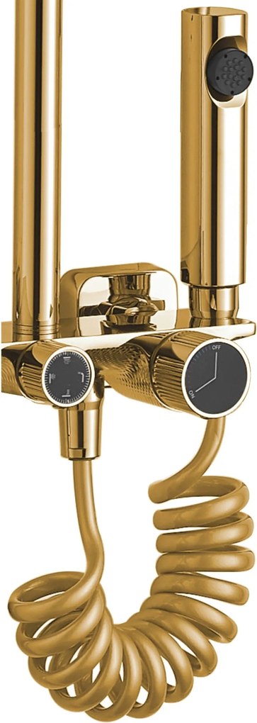 Комплект за душ REA HELIX Gold