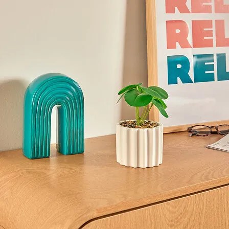 Изкуствено растение atmosphera Flow, 16 cm, Различни видове