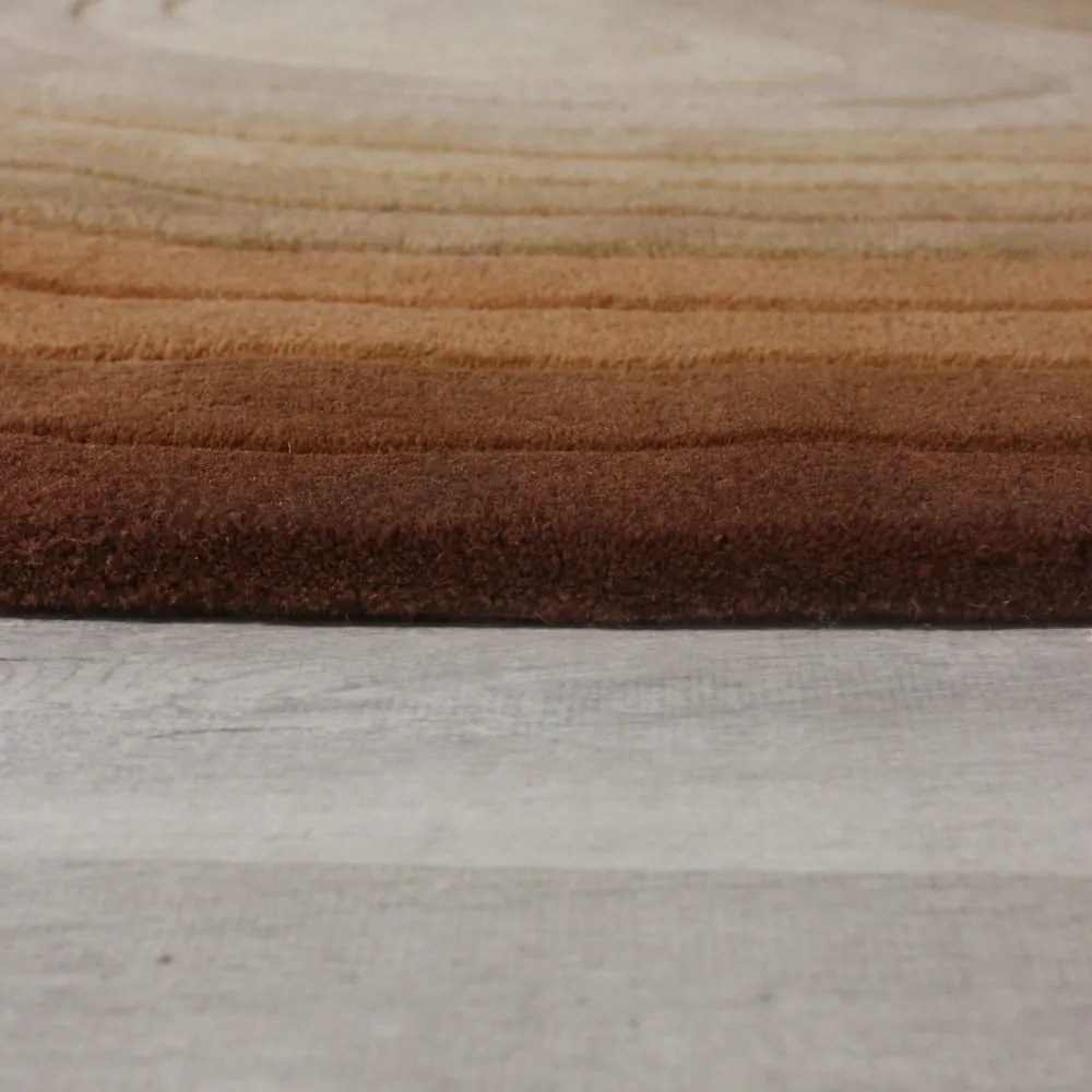 Вълнен килим в тухлен цвят 200x290 cm Puddle Ombre Wool – Flair Rugs