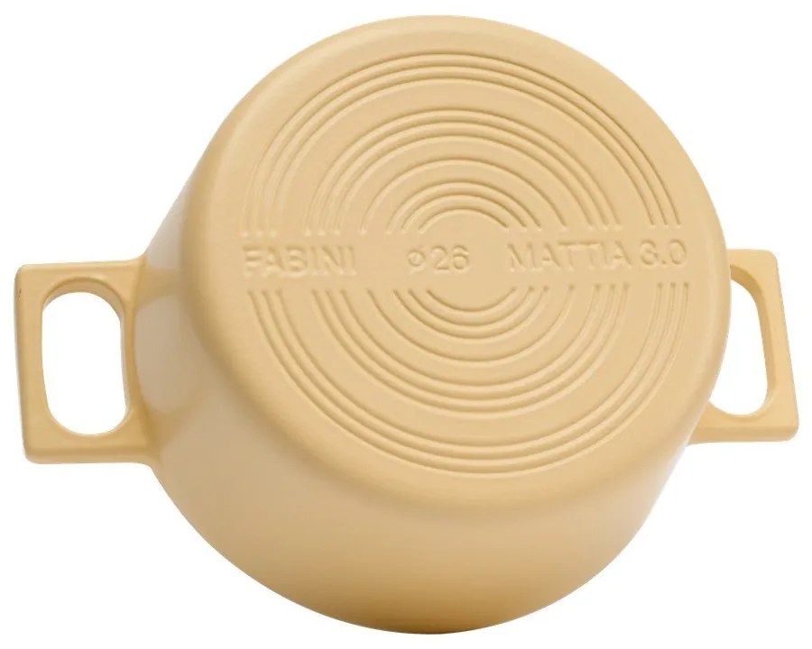 Касерола от излято желязо с капак подходяща за индукционен котлон 5,5 l Mattia 3.0 – FABINI