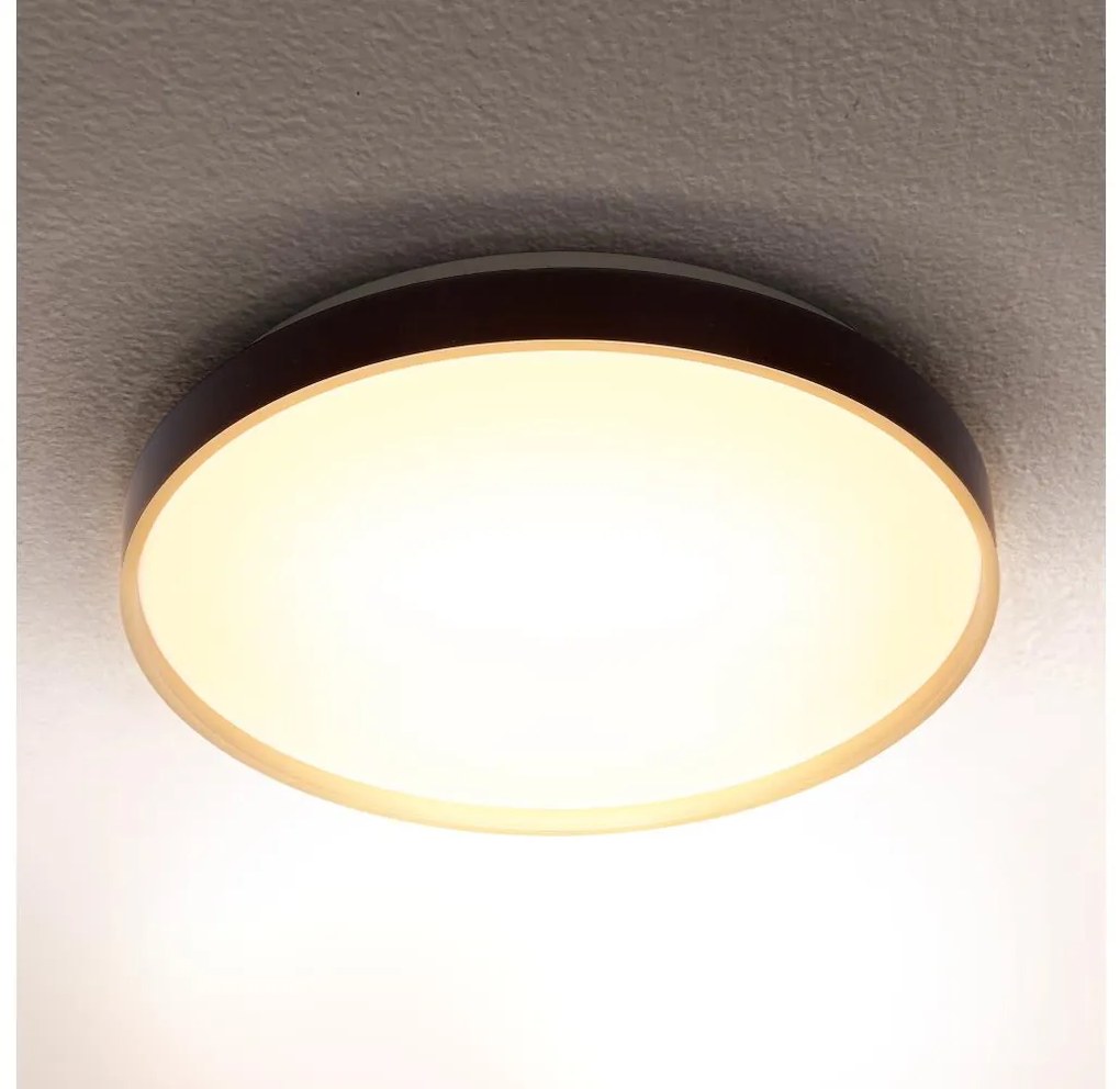 Brilagi - LED таванно осветително тяло CALA LED/24W/230V