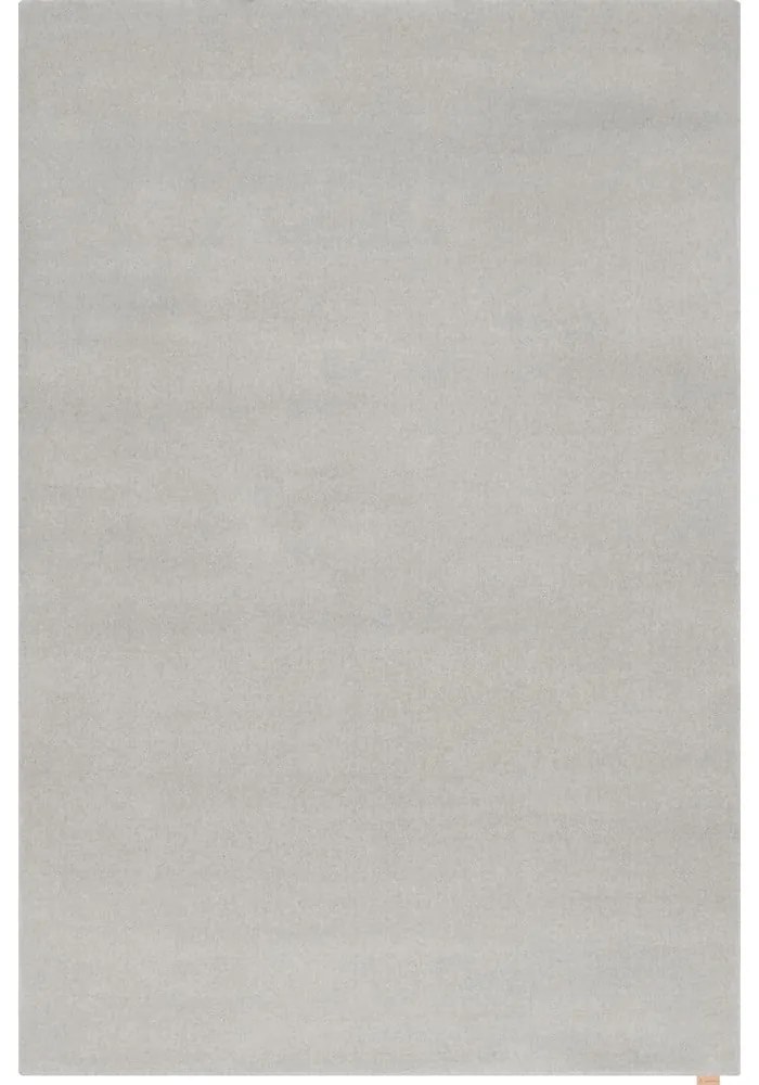 Кремав вълнен килим 200x300 cm Calisia M Smooth – Agnella