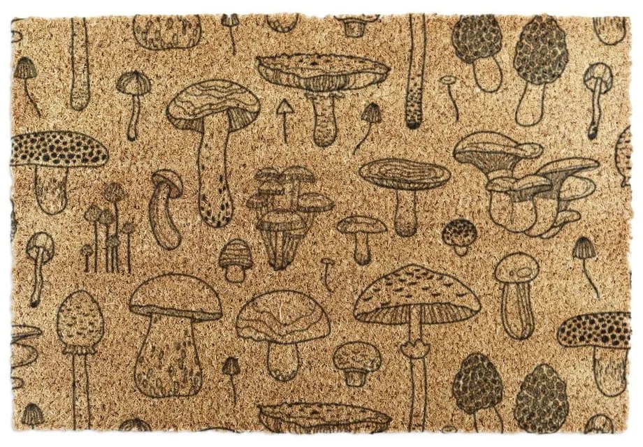 Изтривалка от кокосови влакна 60x90 cm Mushrooms – Artsy Doormats