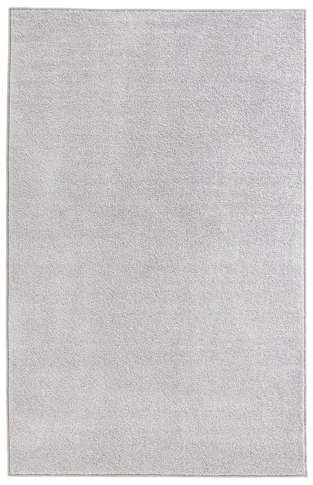Светлосив килим , 140 x 200 cm Pure - Hanse Home