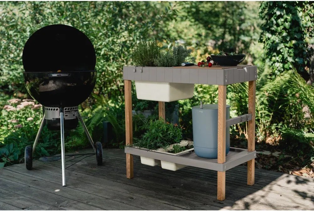 Повдигната леха – Plastia