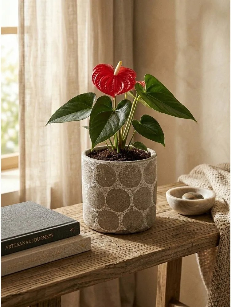 Теракотено ръчно изработено покритие за кашпа ø 12 cm Felan – Bloomingville