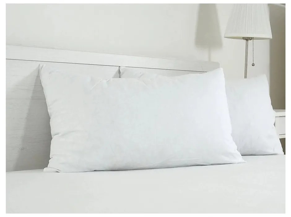 Памучна калъфка за възглавница 45x75 cm Visco – B.E.S.