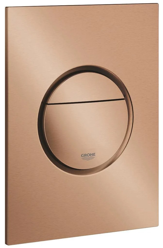 Nova Cosmopolitan S Бутон