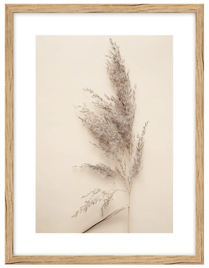 Картина 30x40 cm Grass – knor
