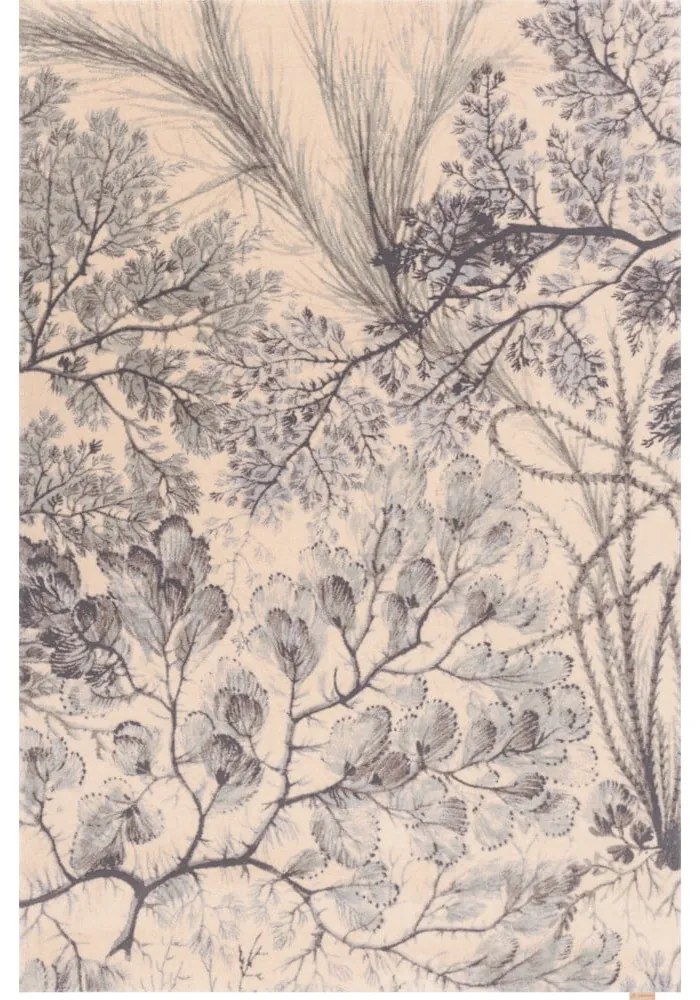 Вълнен килим в бежов и ментов цвят 200x300 cm V&amp;A Calisia Kelp – Agnella