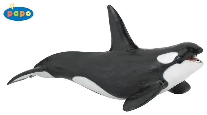Papo - Фигурка Killer Whale 56000G