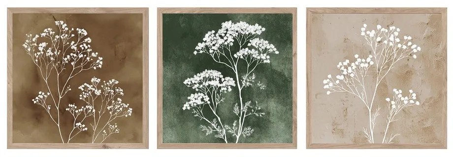 Картини в комплект 3 бр. 30x30 cm Floral Imprint – Styler