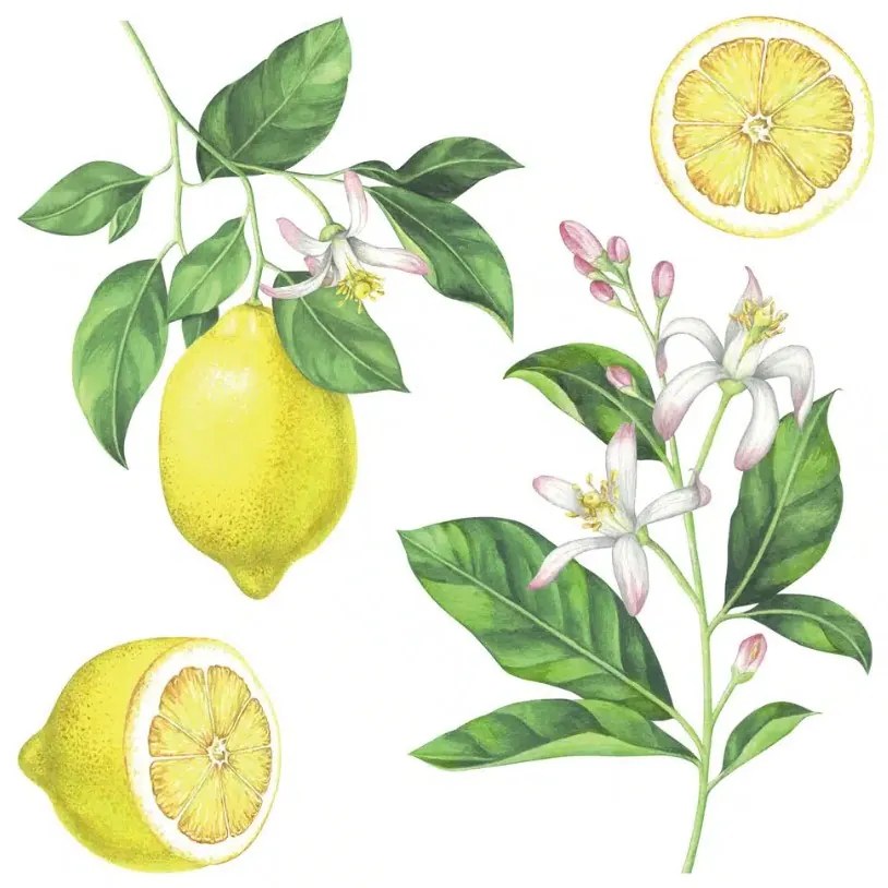 Декоративни стикери за стена Lemons M