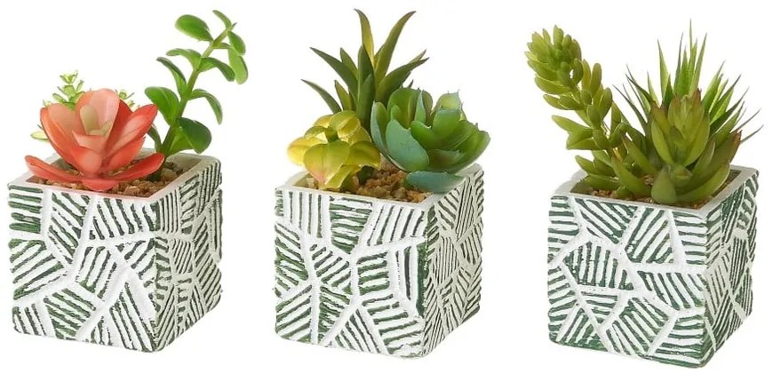 Изкуствени растения в комплект от 3 броя (височина 12 см) Cactus - Casa Selección