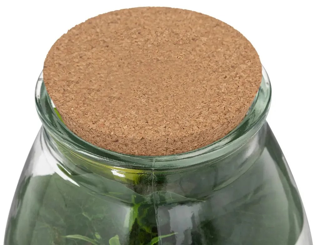 Изкуствено растение atmosphera Botanic Terrarium, 29.5 cm