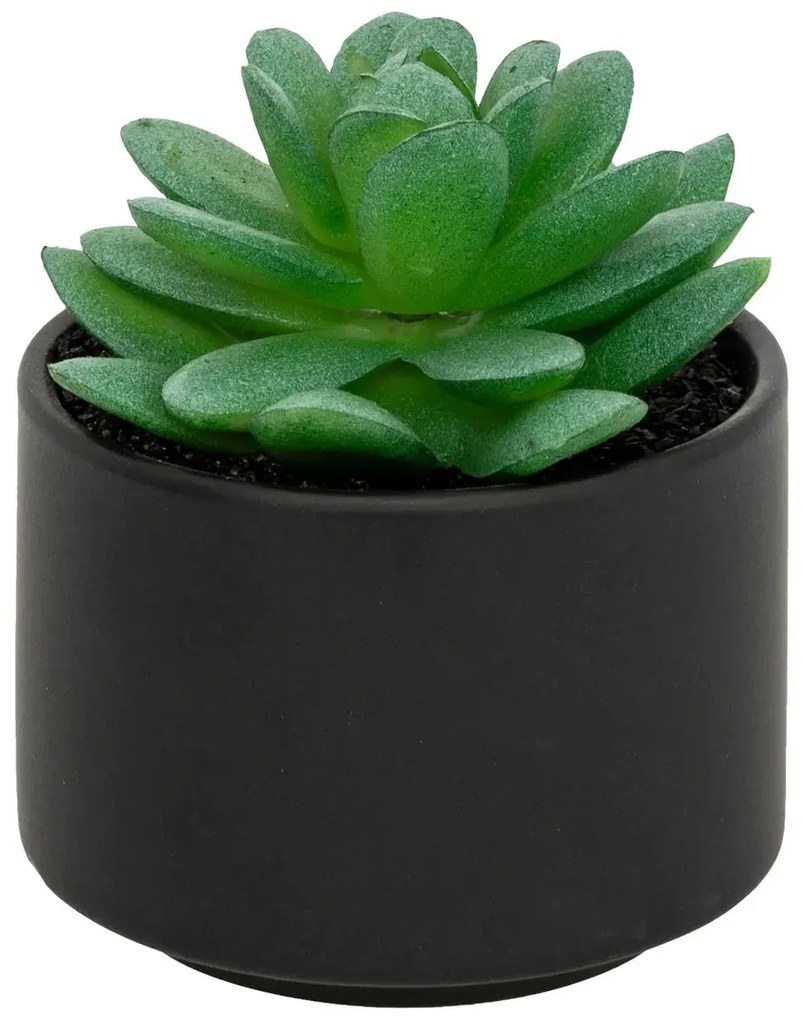 Изкуствено растение atmosphera Succulent, 13 cm, Различни видове