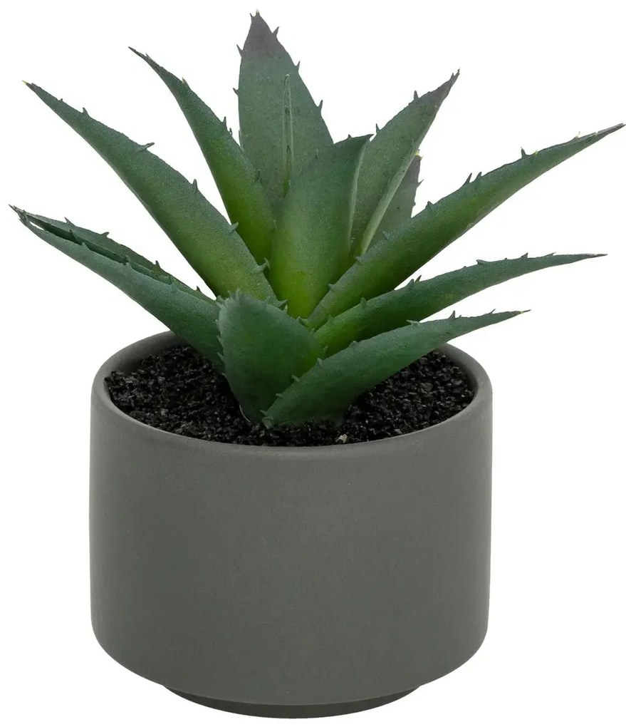 Изкуствено растение atmosphera Succulent, 13 cm, Различни видове