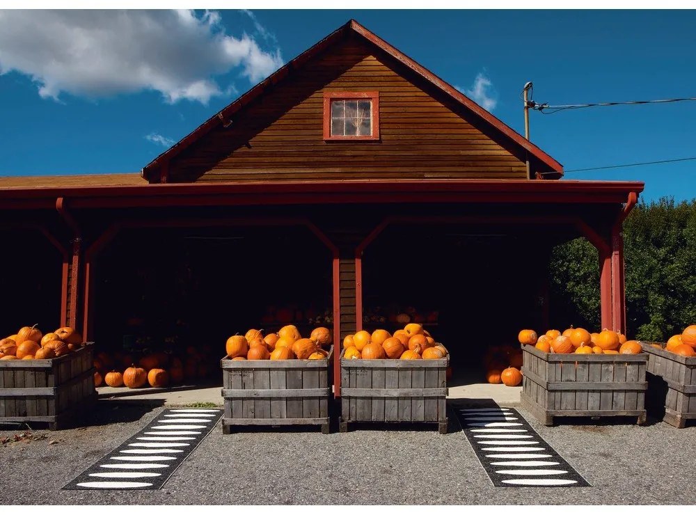 Черна пътека за открито и закрито 70x300 cm Ella Black – Pappelina