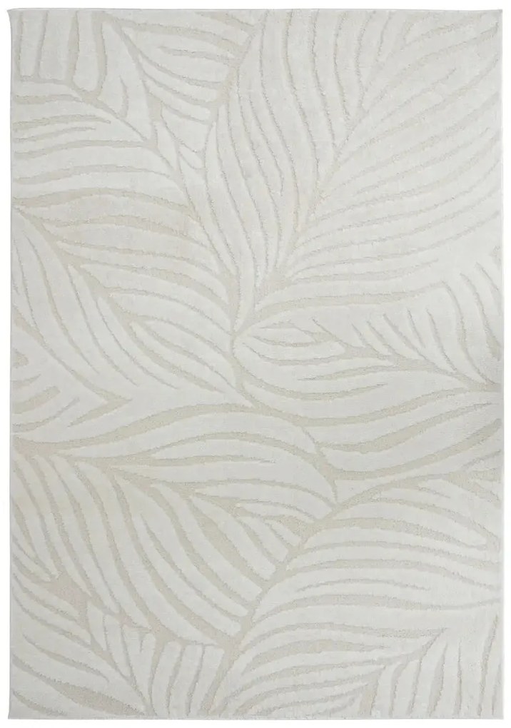 Килим atmosphera Anoai - 100x150 cm