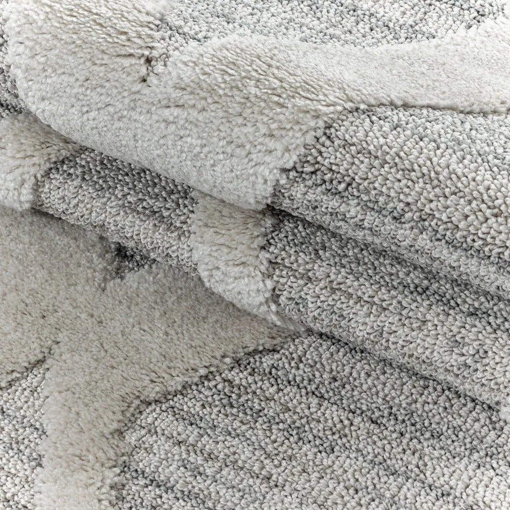 Светлосив килим 200x290 cm Pisa – Ayyildiz Carpets
