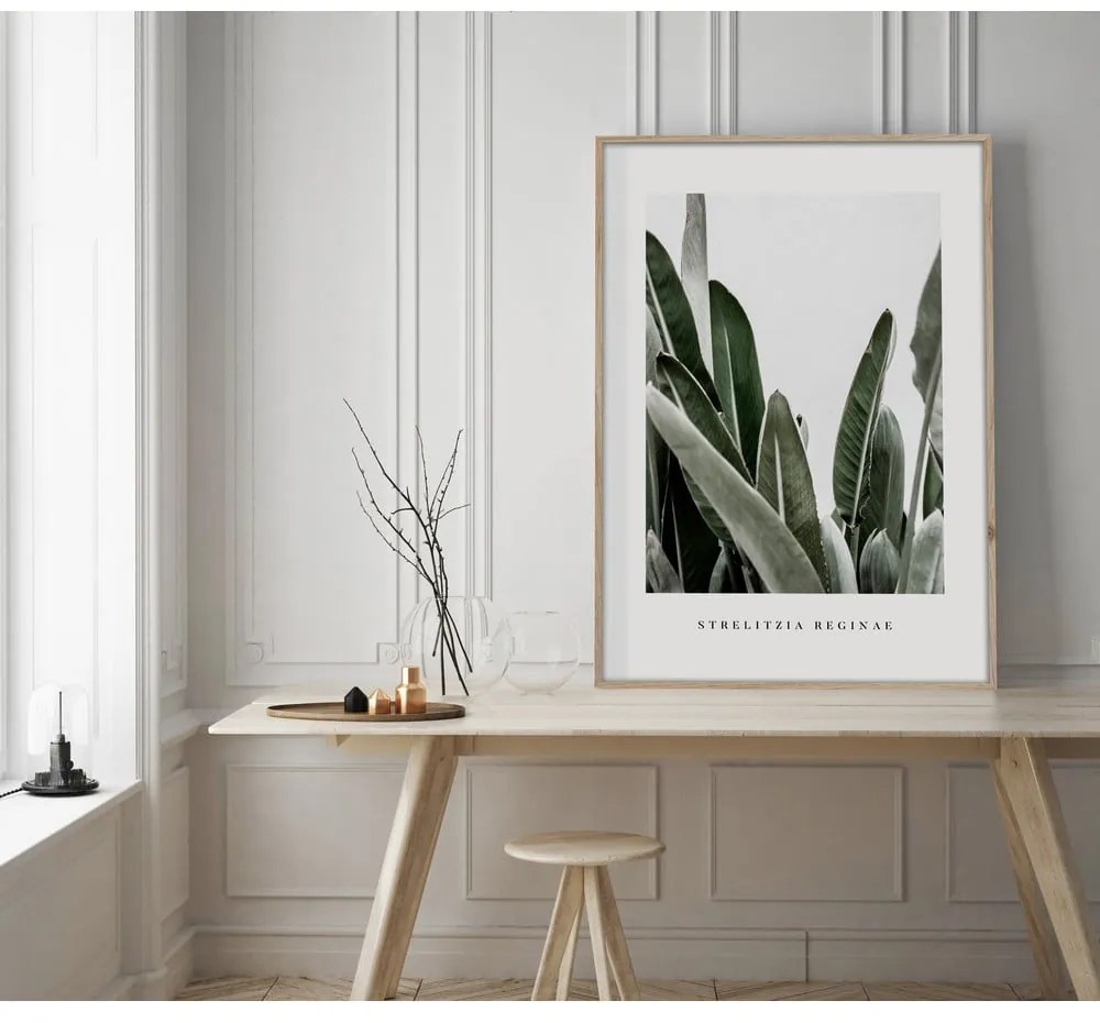 Картина 50x70 cm Strelitzia – Styler