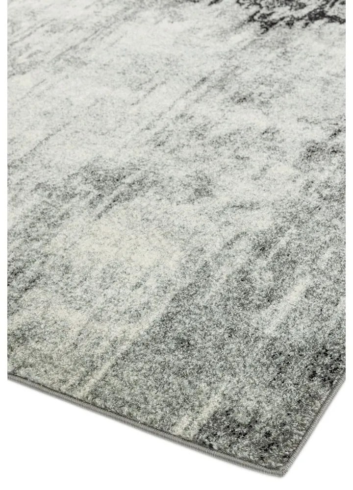 Сив килим 230x160 cm Nova - Asiatic Carpets