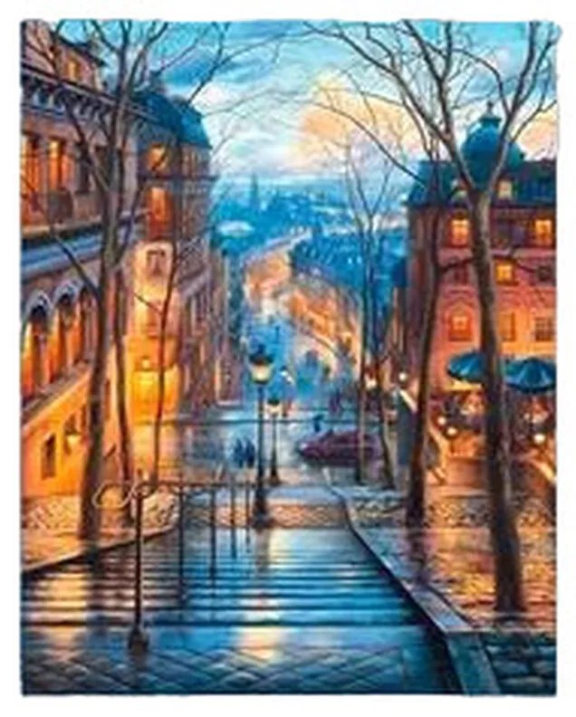 Painting by Numbers Set Alex Bog Stairs Down of Montmatre Paris 40 x 50 cm