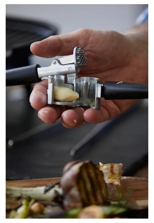 Кухненска преса - Holm