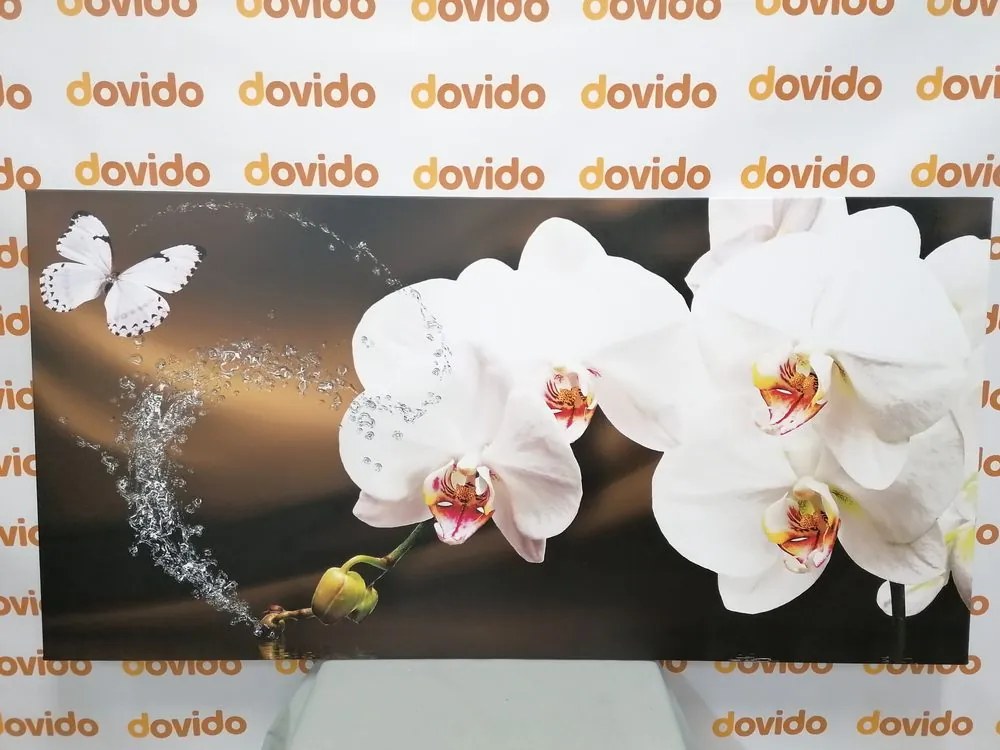 Картина на платно – Орхидея и пеперуда