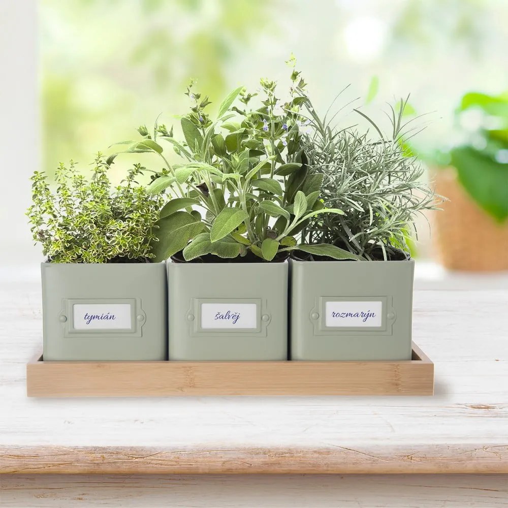 Метални саксии за билки в комплект от 3 бр. Greenish – Orion