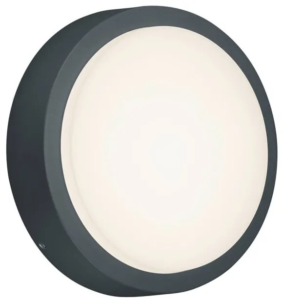 LED външно стенно осветление ø 20 cm Berg - Trio