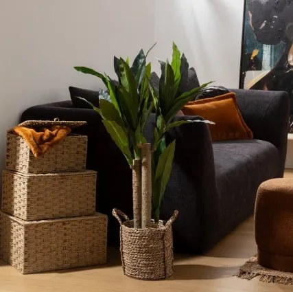 Изкуствено растение atmosphera Dracena Tree Onia, 105 cm