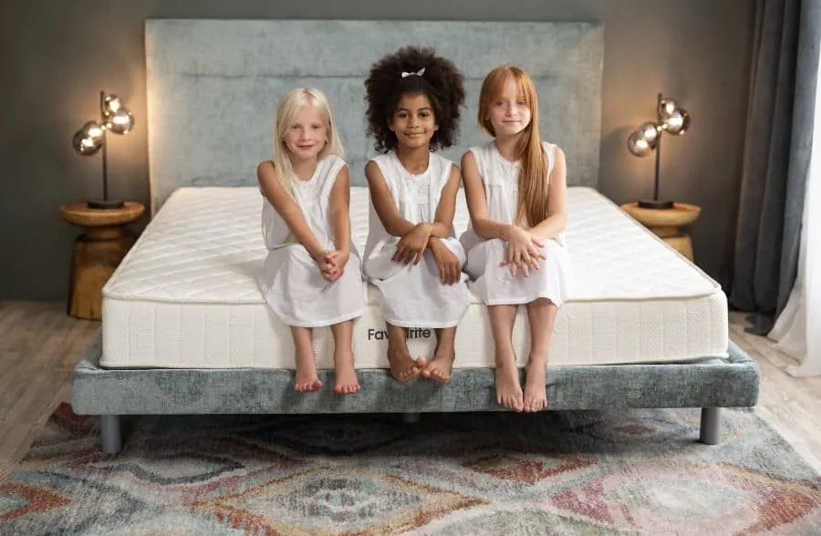 Матрак Favourite Nova Orthopedic от Тед 20 см