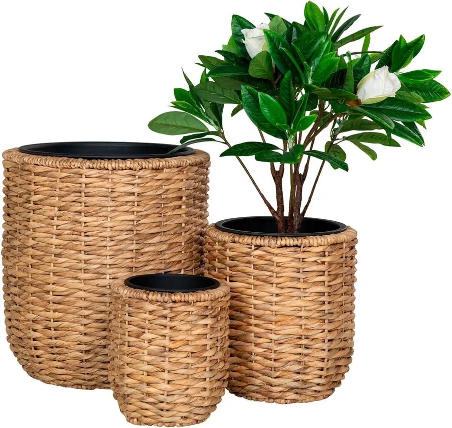 Комплект саксии 3 бр. от воден зюмбюл ø 49 cm Hanoi – House Nordic