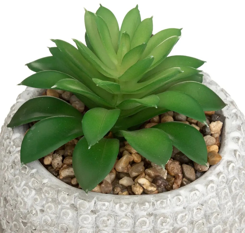 Изкуствено растение atmosphera Buddha, 13.5 cm, Различни видове
