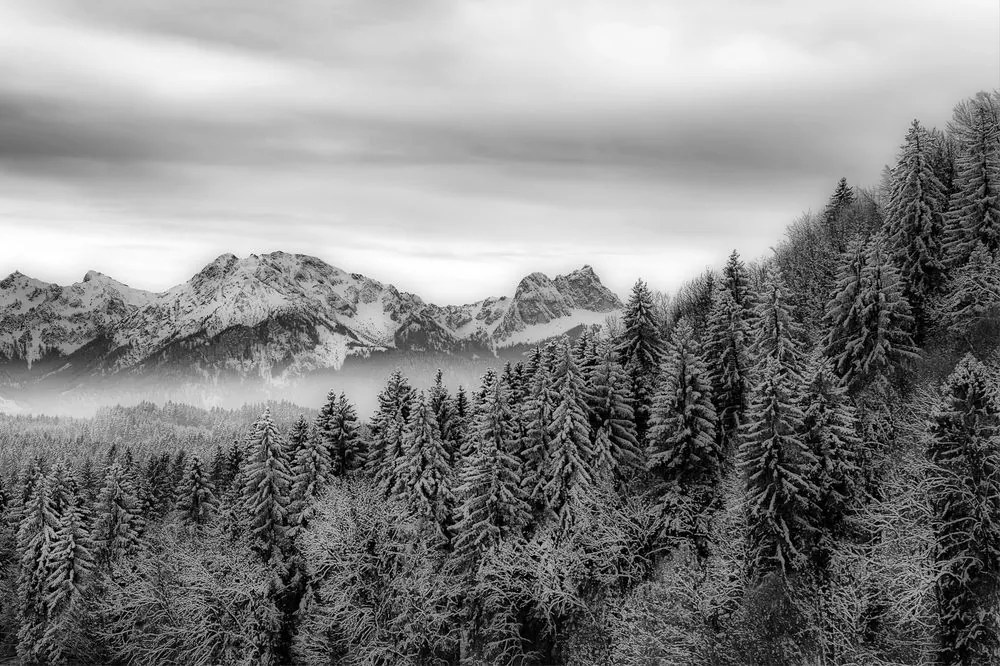Фототапет – Черно-бели замръзнали планини