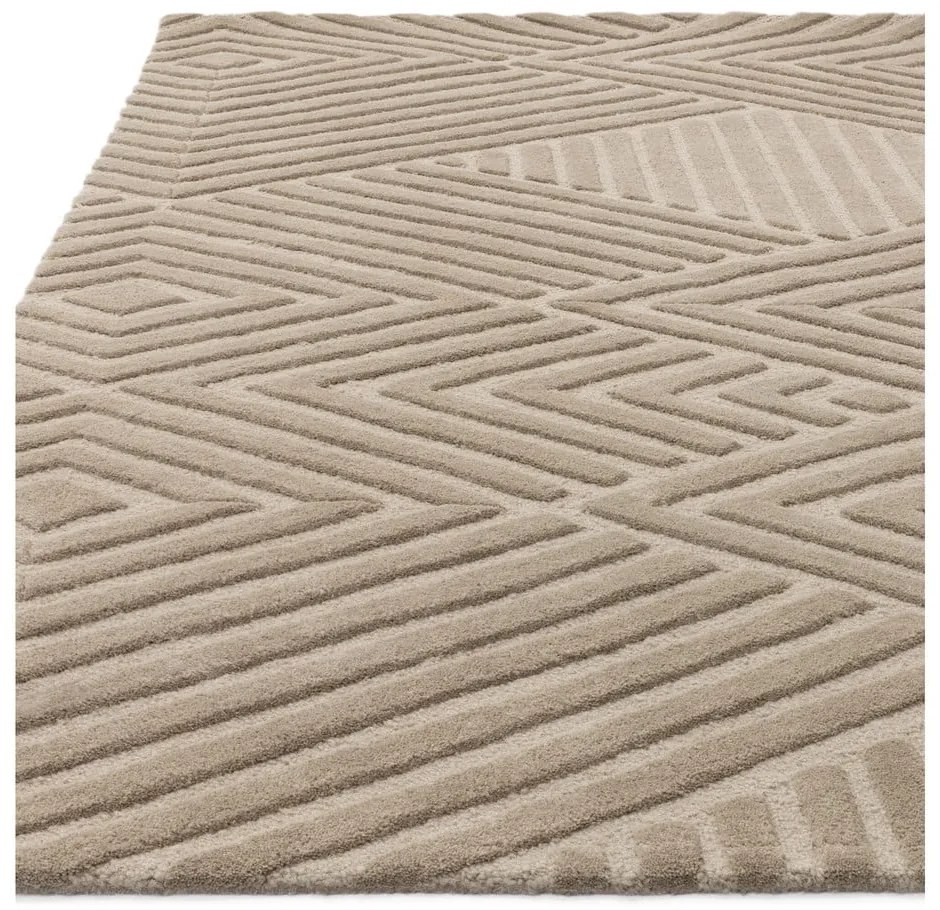 Светлокафяв вълнен килим 200x290 cm Hague - Asiatic Carpets