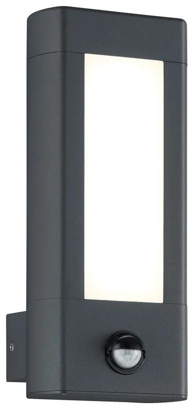 LED външна стенна лампа (височина 28 см) Rhine - Trio