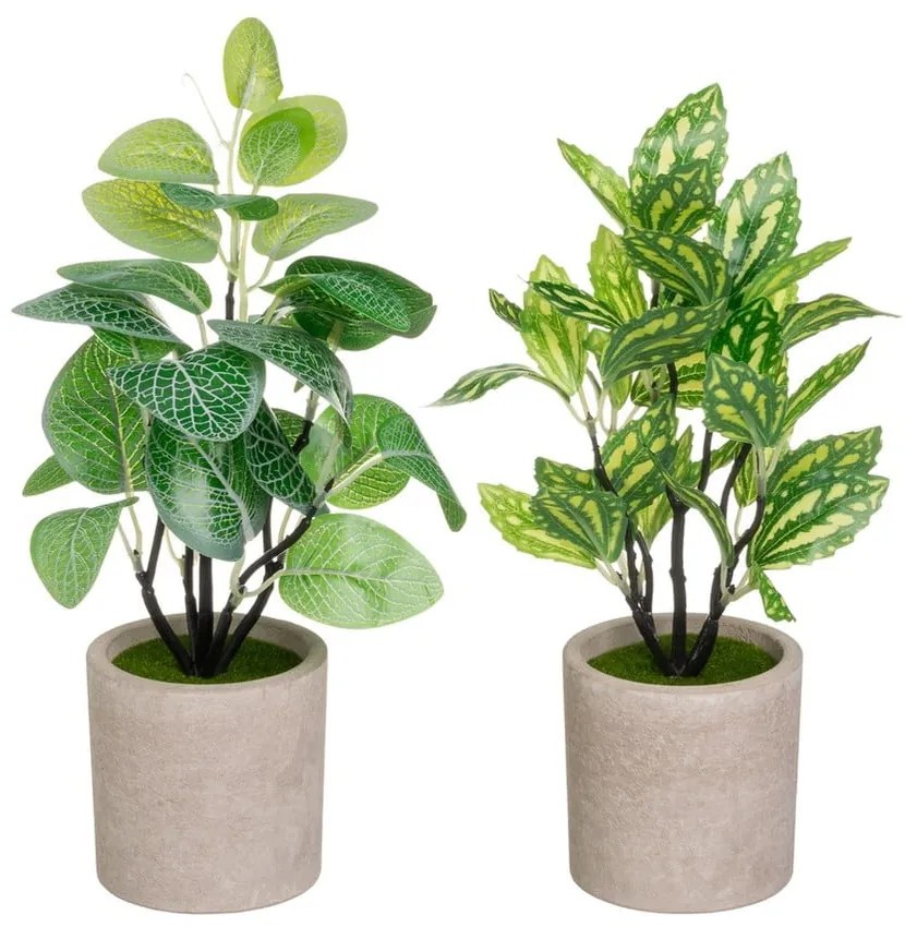 Изкуствени растения в комплект от 2 бр. (височина 28 cm) – Casa Selección