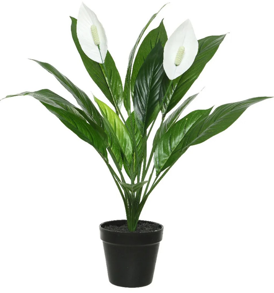 Декоративно Растение Mica Decorations Espatifilo PVC