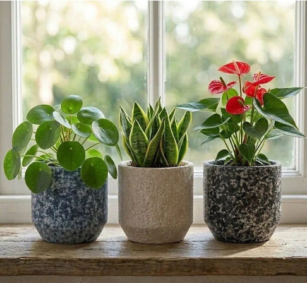 Керамично ръчно изработено покритие за кашпа ø 14 cm Almada – Ego Dekor