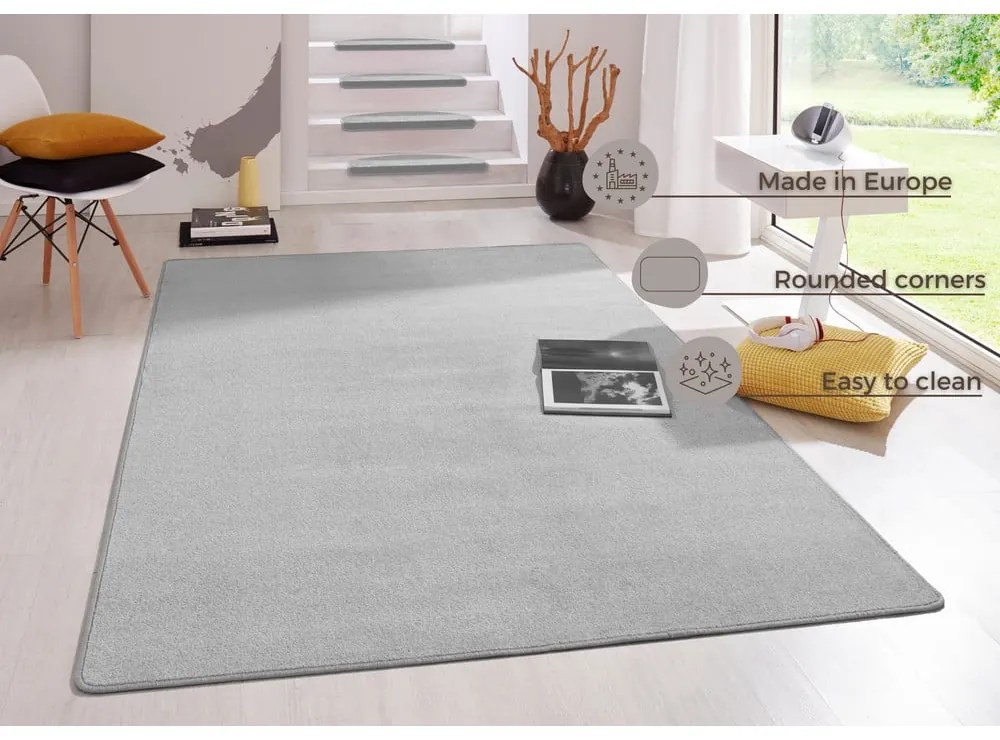 Светлосив килим 160x240 cm Fancy – Hanse Home